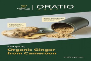 Ginger Powder from Cameroon